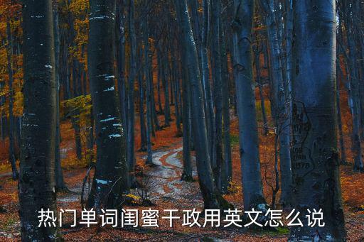 閨蜜干政，熱門單詞閨蜜干政用英文怎么說