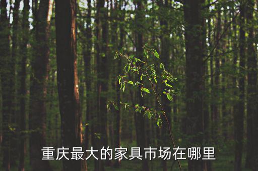 重慶市最大家具城在哪里，重慶主城區(qū)大一點(diǎn)的家具市場在哪里