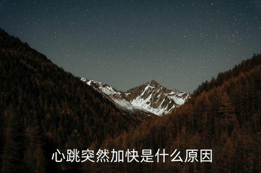 心跳快是什么原因,心臟病發(fā)或心血管疾病導(dǎo)致心跳過快的原因
