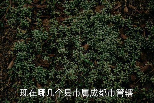 現在哪幾個縣市屬成都市管轄