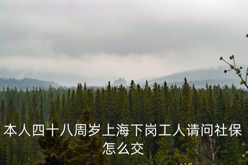 上海 網上信訪，本人四十八周歲上海下崗工人請問社保怎么交