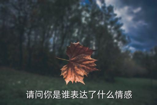  請問你是誰表達了什么情感