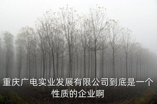 重慶廣電實業發展有限公司到底是一個性質的企業啊