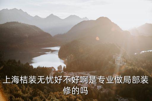 上海無(wú)憂留學(xué)怎么樣，求上海留學(xué)申請(qǐng)機(jī)構(gòu)哪家好名稱還有咨詢電話多少