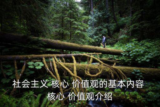 社會主義 核心 價值觀的基本內容 核心 價值觀介紹