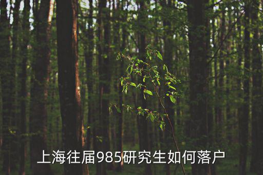 上海往屆985研究生如何落戶