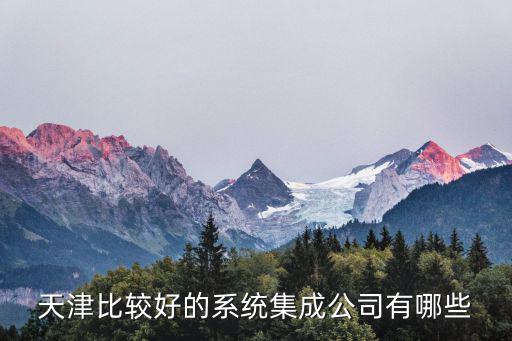 天津比較好的系統集成公司有哪些