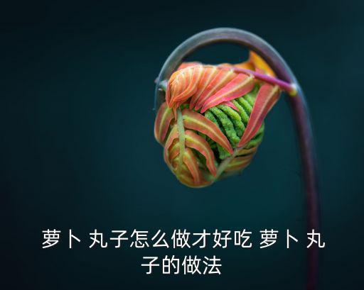 蘿卜丸子的做法,如何做好這道菜?記好五步驟!