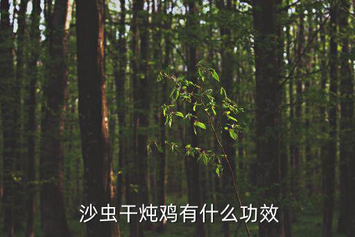  沙蟲干燉雞有什么功效