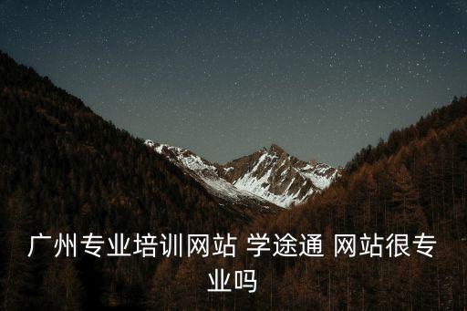 廣州專業培訓網站 學途通 網站很專業嗎
