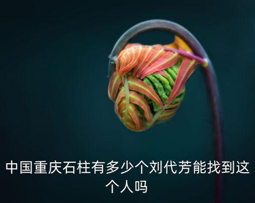 中國重慶石柱有多少個劉代芳能找到這個人嗎