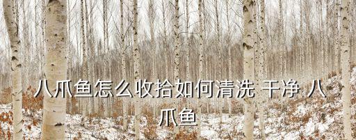  八爪魚怎么收拾如何清洗 干凈 八爪魚