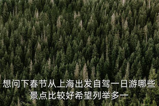 想問下春節從上海出發自駕一日游哪些景點比較好希望列舉多一