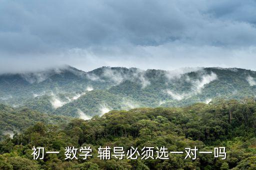 數(shù)學(xué)初一輔導(dǎo),孩子沒上銜接課數(shù)學(xué)一對(duì)一輔導(dǎo)老師眼睛盯著他