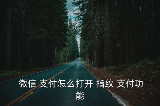 微信開啟指紋支付,怎么用指紋支付?點(diǎn)擊這里!看!