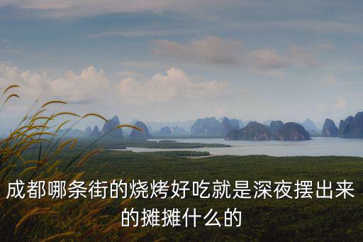 成都哪條街的燒烤好吃就是深夜擺出來的攤攤什么的