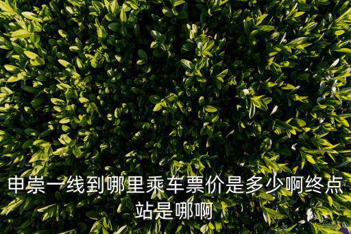 上海市平陸路272號，上海有個第十四中學嗎請問它在哪個地方