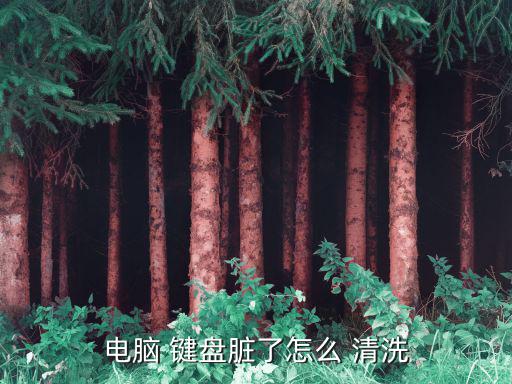 電腦 鍵盤臟了怎么 清洗