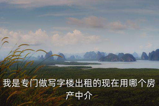 寫字樓出租中介公司，我是專門做寫字樓出租的現在用哪個房產中介
