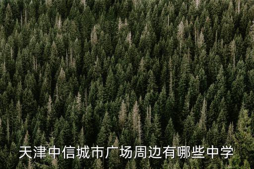 天津中信城市廣場(chǎng)周邊有哪些中學(xué)