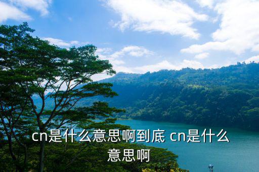  cn是什么意思啊到底 cn是什么意思啊