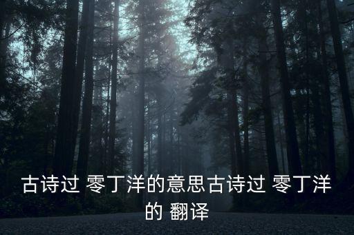 古詩過 零丁洋的意思古詩過 零丁洋的 翻譯