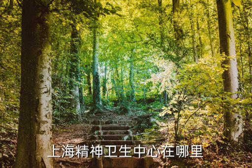 上海精神衛(wèi)生中心在哪里