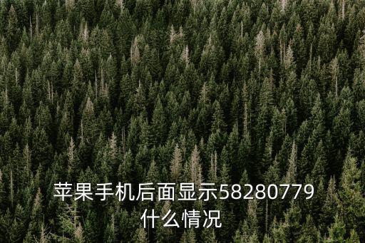  蘋果手機后面顯示58280779什么情況