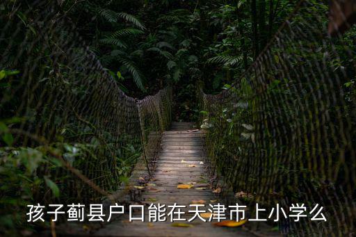 孩子薊縣戶口能在天津市上小學么