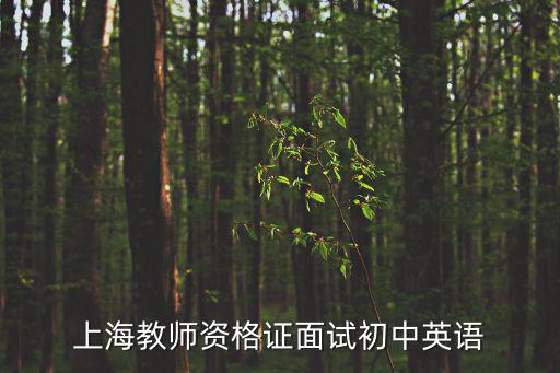 上海教師資格證面試初中英語