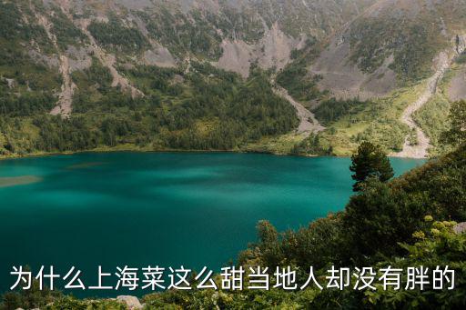 上海市甜食，上海最好吃的點(diǎn)心是
