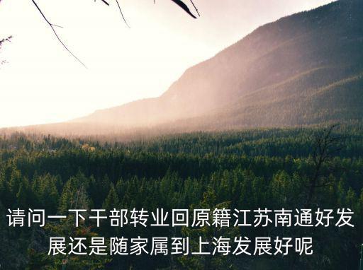 請(qǐng)問一下干部轉(zhuǎn)業(yè)回原籍江蘇南通好發(fā)展還是隨家屬到上海發(fā)展好呢