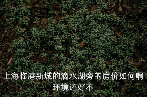 上海臨港新城的滴水湖旁的房價如何啊環(huán)境還好不