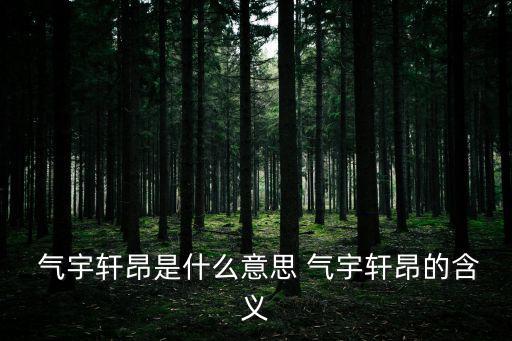 氣宇軒昂什么意思,宇文軒昂:形容更蓬氣蓬勃超凡脫俗