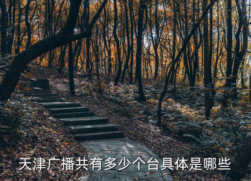 天津廣播共有多少個(gè)臺(tái)具體是哪些