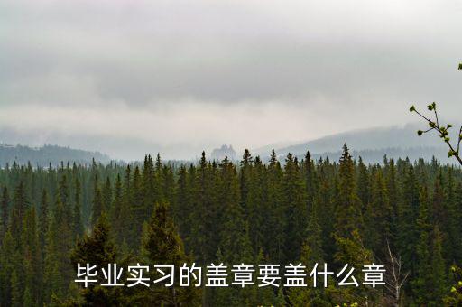 畢業實習的蓋章要蓋什么章