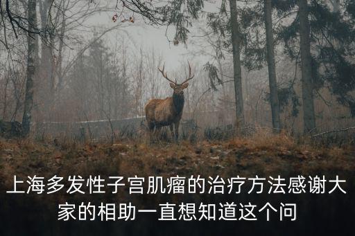 上海多發(fā)性子宮肌瘤的治療方法感謝大家的相助一直想知道這個(gè)問(wèn)