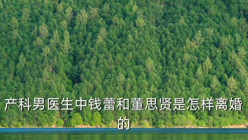 產(chǎn)科男醫(yī)生中錢蕾和董思賢是怎樣離婚的