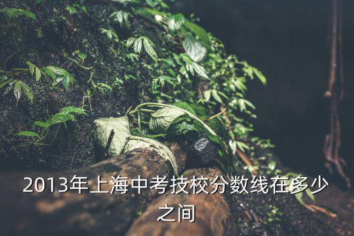 2013年上海中考技校分數線在多少之間