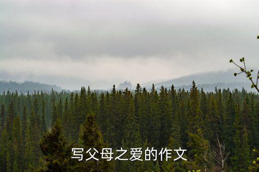 父母之愛的作文，一篇父母的愛的作文