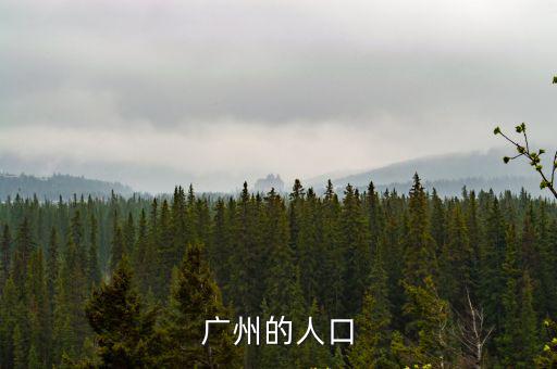 廣州的人口