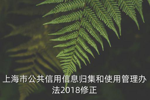 上海市公共信用信息歸集和使用管理辦法2018修正