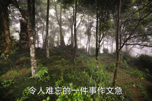 令人難忘的一件事作文急