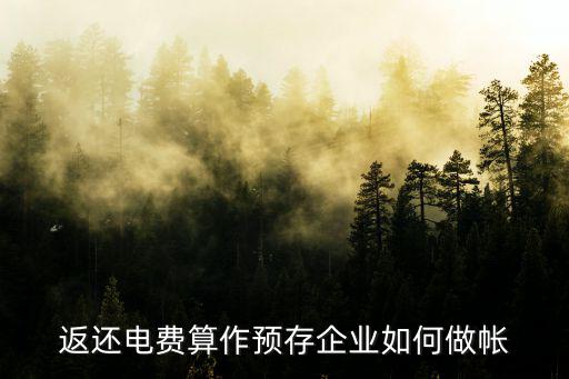 返還電費算作預存企業如何做帳