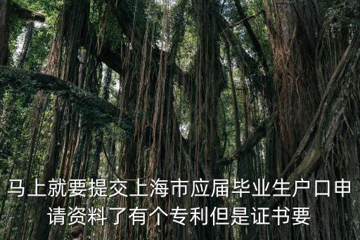 馬上就要提交上海市應(yīng)屆畢業(yè)生戶口申請(qǐng)資料了有個(gè)專利但是證書要