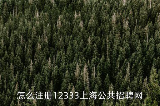 怎么注冊12333上海公共招聘網