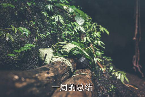 一周工作總結匯報，一周工作匯報怎么寫