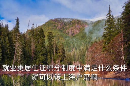 就業類居住證積分制度中滿足什么條件就可以轉上海戶籍啊
