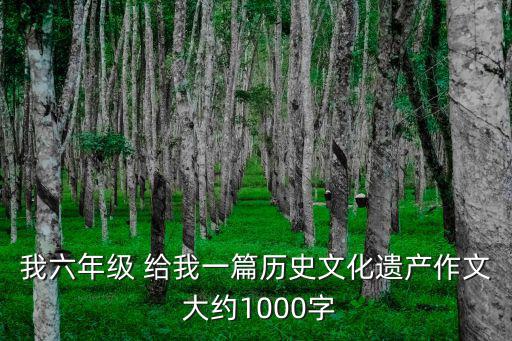 文化遺產(chǎn)作文，中國(guó)歷史文化遺產(chǎn)作文350字