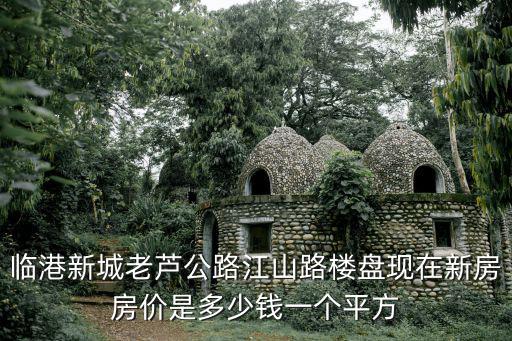 臨港新城老蘆公路江山路樓盤現在新房房價是多少錢一個平方